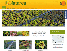 Tablet Screenshot of naturea.sk